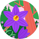 Shannon Huin profile picture